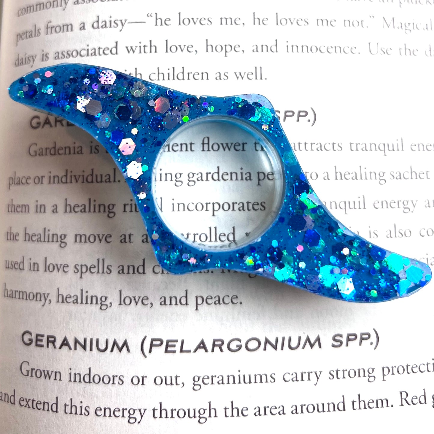 Ocean- Page Holder Ring